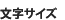 文字サイズの変更